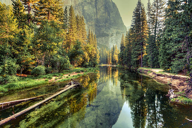 Yosemite Valley view