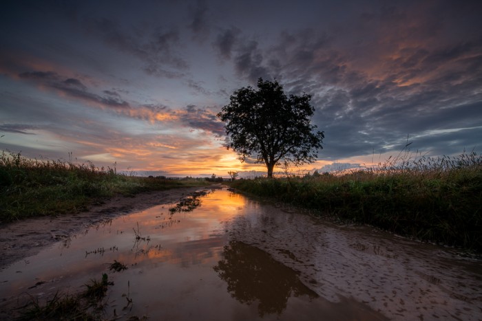 marek waskiel biebrza narew-1-7